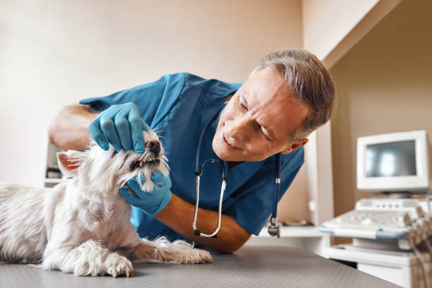Best Emergency Tooth Extraction in Muldrow, OK